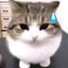 user_sqggka2mcjdpcw1v59849 member profile picture