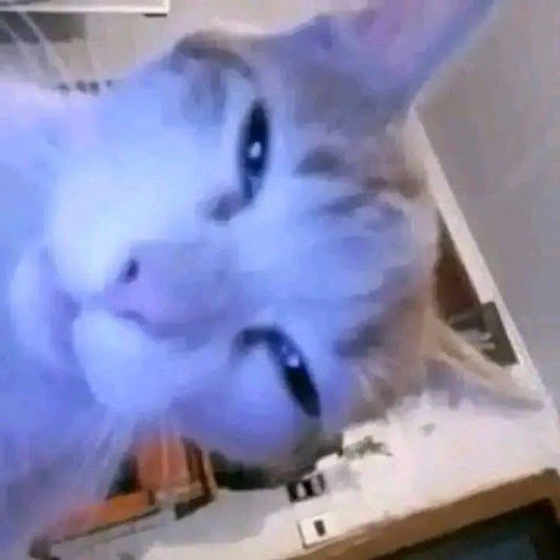 Tallulah