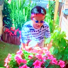 organization avatar