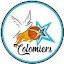 Colomiers Basket (PhotoUSCB) (Owner)