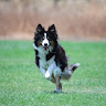 Tamar Matari's photo