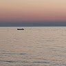 alaattinkar4113