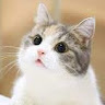 user_b2jzozf8tkvsfcg1 member profile picture