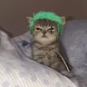 user_br5u2rws2yq4hdz9 member profile picture