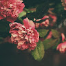 Created by