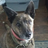 user_6fc8aobpa2jebyc2 member profile picture