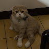 Duoduo Kao
