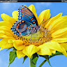 Created by