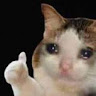 userThumbnail