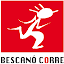 Bescanó Corre (Owner)