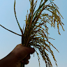 Spandana Kethiri