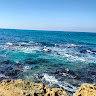 אושרת כהן's photo