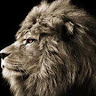 user_xmb6mb942c88nr6d member profile picture