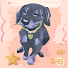 Anwitha K M