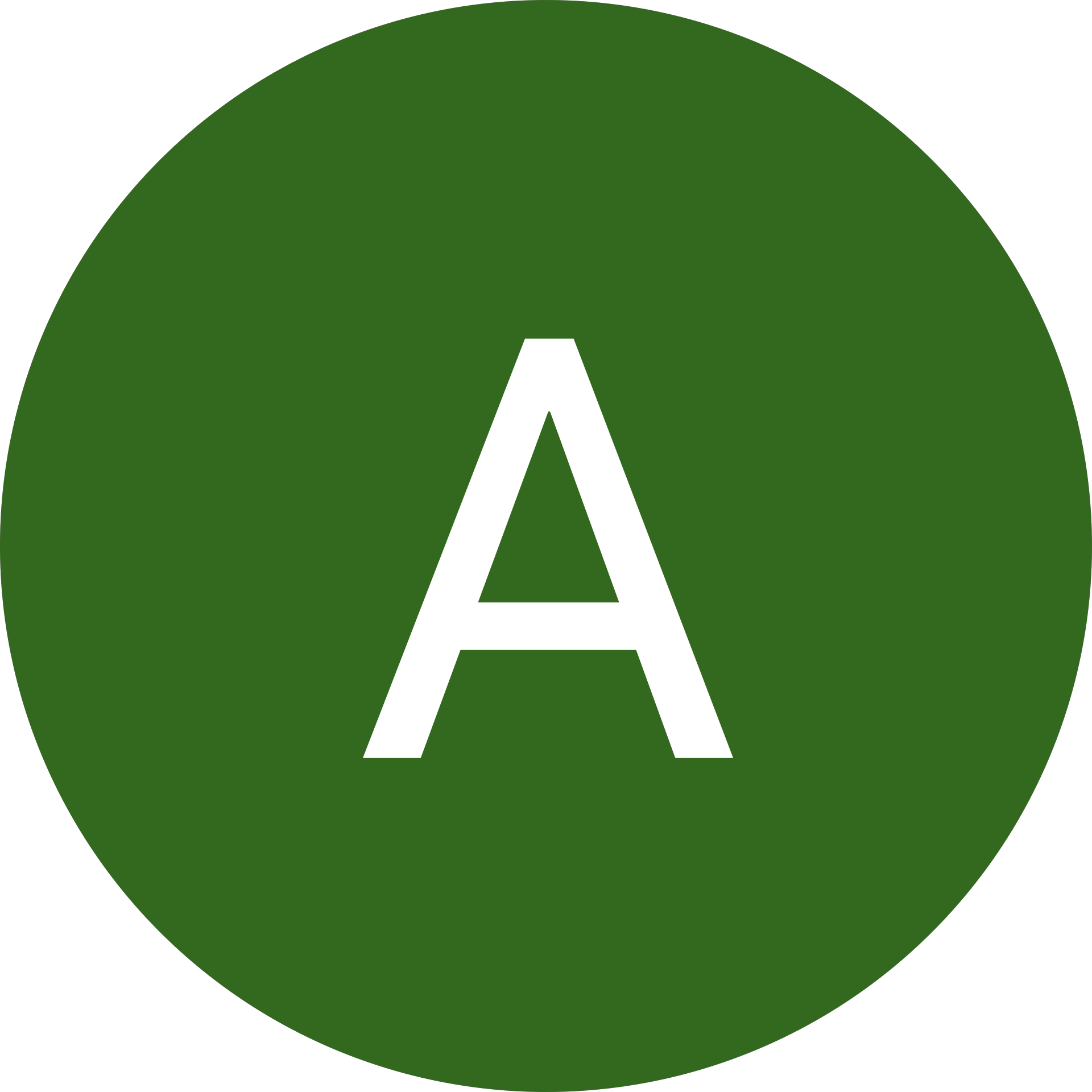 Ayca Alkan