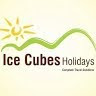 Ice Cubes Services