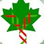 Canadian Forest Genetics Association