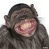 Apeface