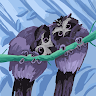 organization avatar