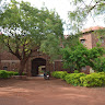 Writer: DDS Krishi Vigyan Kendra
