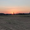 yehiel amar's photo
