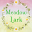 Meadow Lark