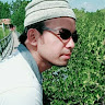 Abul Firor