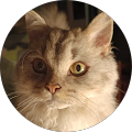 Avatar de Martine.a