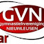 GV Nieuwleusen (Owner)