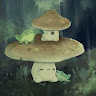 user_8jl5lrh5rry8vntb member profile picture