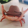 user_g2jhk18c8laxi23v member profile picture