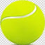 SAONE TENNIS CLUB (Owner)