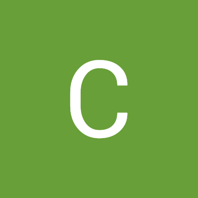 Cristiano_Handyman