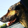 Sharon Witz Kaufman's photo