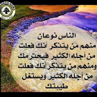 ผู้ใช้: noureddine zahar