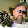 Avatar of Porcupine Bob