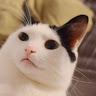 axianzhixiangnoyu's Avatar