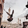 ملاك قضاه