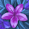 Created by
