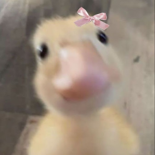 Adi