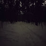 user_tu8gllo0he9s6vid member profile picture
