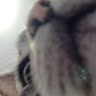 Ejaz profile