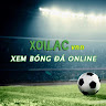 Bóng đá Trực Tiếp