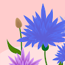 Created by