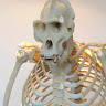 View user_mv8ws4ldjsd6m7s0's Profile