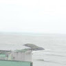 Kishore C H