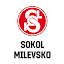 T.J. Sokol Milevsko (Owner)