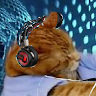 DJ Crab