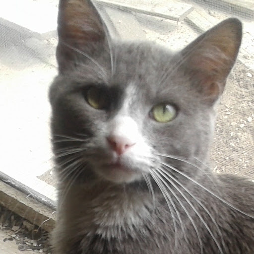 Lillian