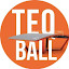 Rui Leitão - Teqball